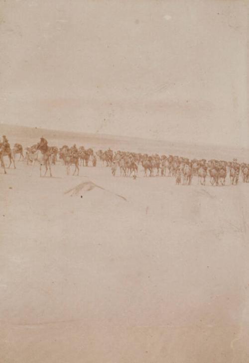 Camel Patrol (Photograph Album Belonging to James McBey)