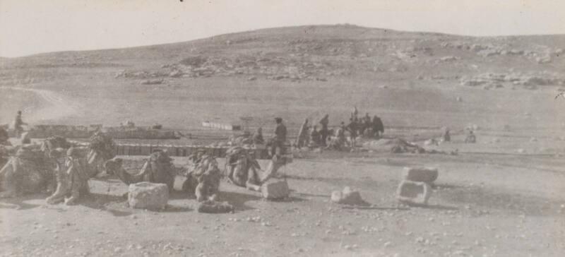 Camels Resting (Photograph Album Belonging to James McBey)