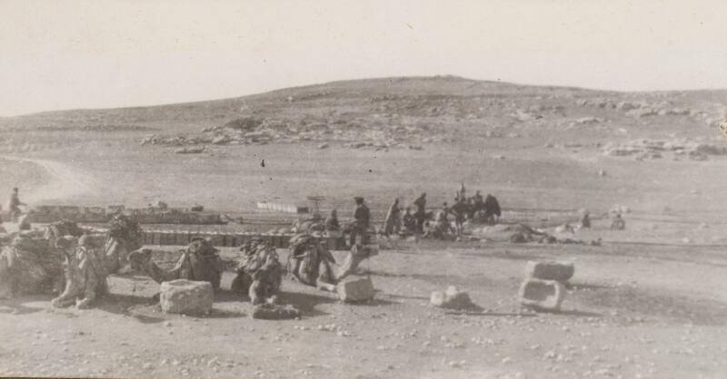 Camels Resting (Photograph Album Belonging to James McBey)