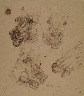 Sketch of Renaissance Bronze Horse, Four Studies of Head by Alexander Fraser