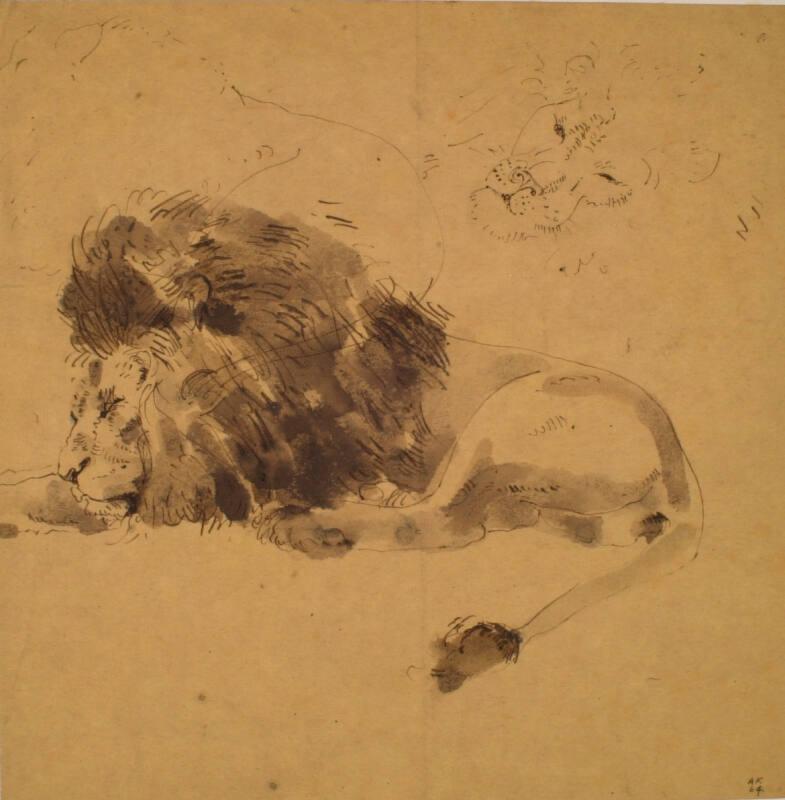 Study of a Lion by Alexander Fraser