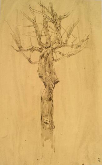 Study of a Tree, Padua by Alexander Fraser
