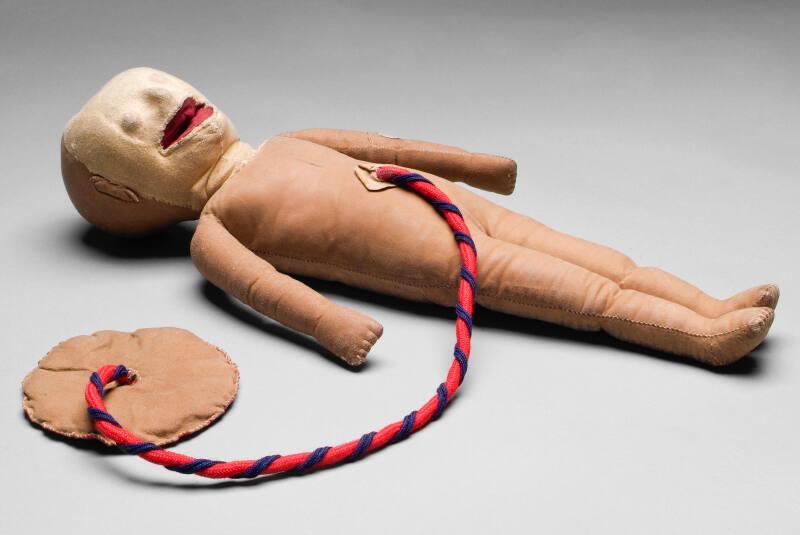 Foetal Doll