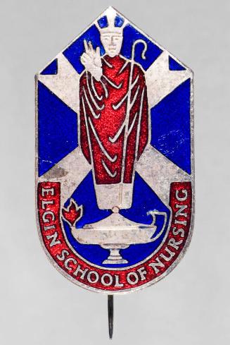 Elgin School Of Nursing Badge