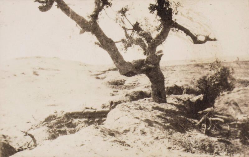 Trenches (Photograph Album Belonging to James McBey)