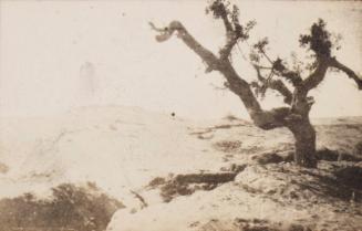 Trenches (Photograph Album Belonging to James McBey)