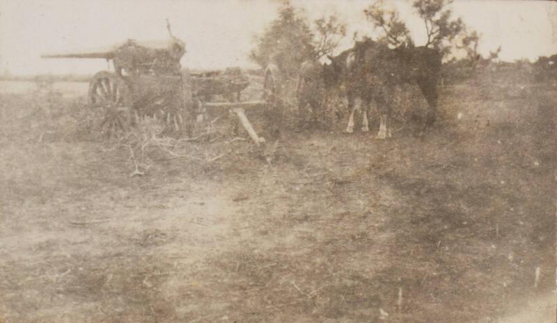 Horses and Cart (Photograph Album Belonging to James McBey)