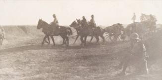 Horses and Carts (Photograph Album Belonging to James McBey)