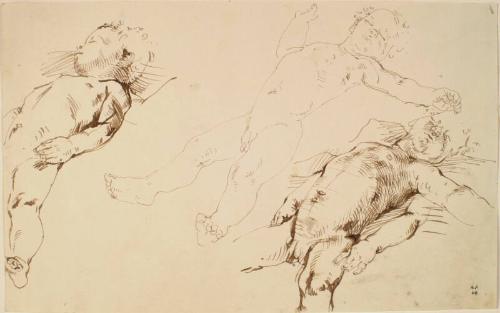 Three Studies of the Artist's Son Sleeping by Alexander Fraser