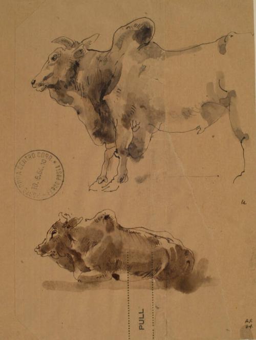 Two Studies of an Ox by Alexander Fraser