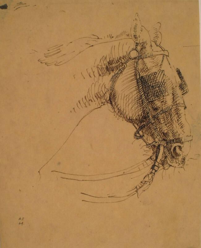 Head of a Street Horse, Florence by Alexander Fraser