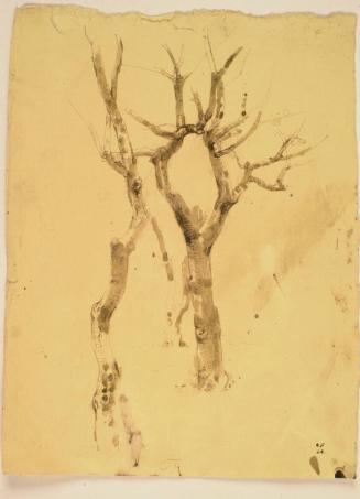 Study of Two Trees, Padua by Alexander Fraser