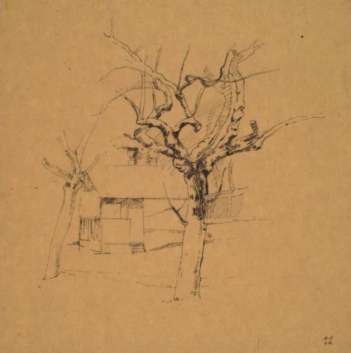 Study of a Tree, Padua by Alexander Fraser