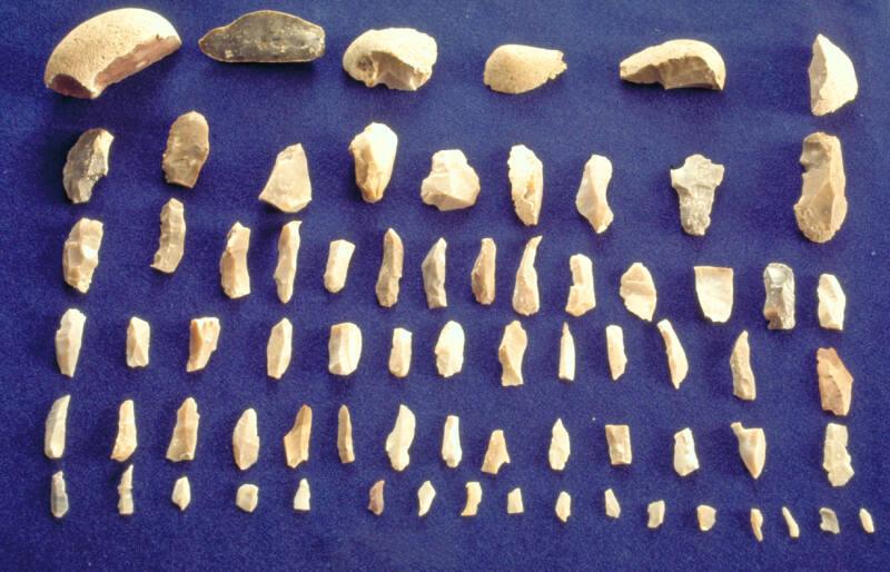 Mesolithic flint scatter