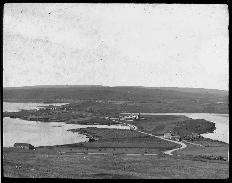 glass lantern slide showing Vassa, South Nesting