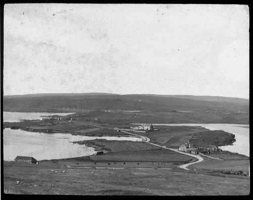 glass lantern slide showing Vassa, South Nesting