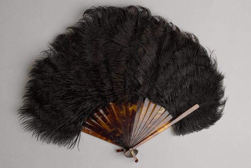 Black Ostrich Feather Fan