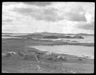 glass lantern slide showing Gletness, Nesting.