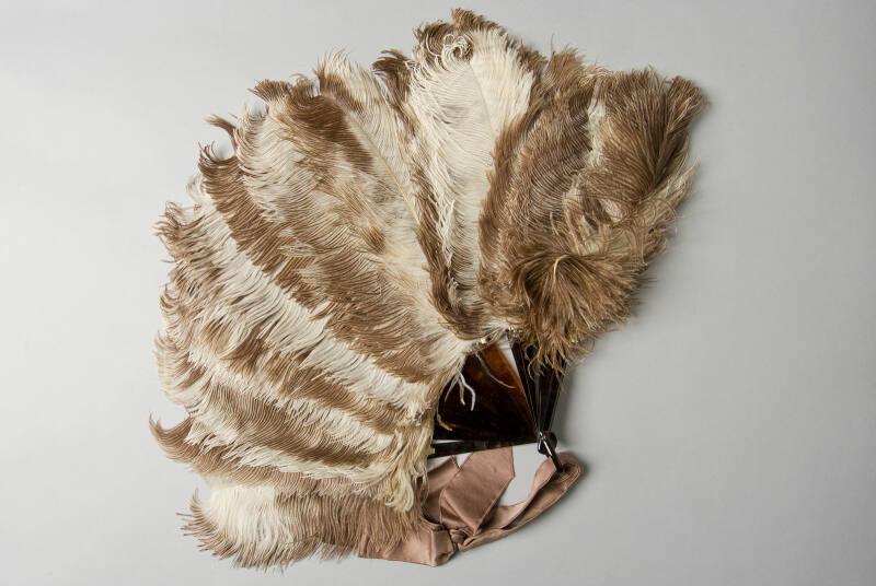 Ostrich Feather Fan with Gift Box