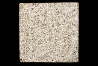 Sample of Polished Granite