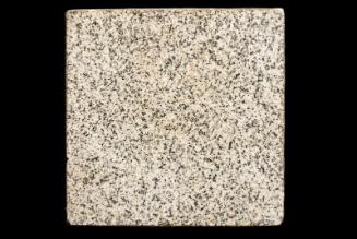 Sample of Polished Granite