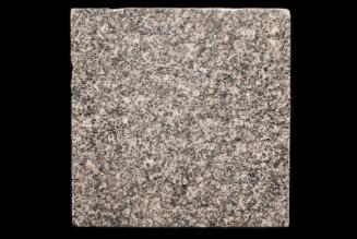 Sample of Polished Granite