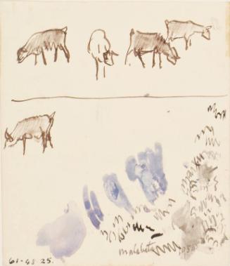 Goats Grazing (Sketches on a Piece of Paper)