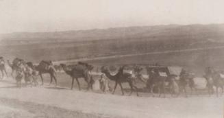 Camel Patrol (Photograph Album Belonging to James McBey)