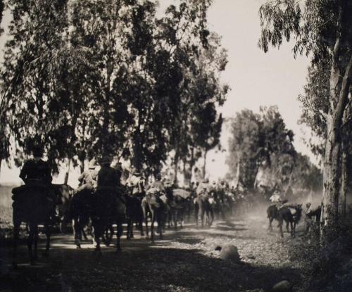 Troops Riding Through a Forest (Photograph Album Belonging to James McBey)