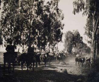 Troops Riding Through a Forest (Photograph Album Belonging to James McBey)