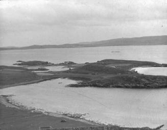 glass lantern slide showing Lingness, nesting.