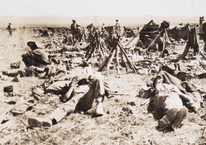 Camping Near Ramla (Photograph Album Belonging to James McBey)