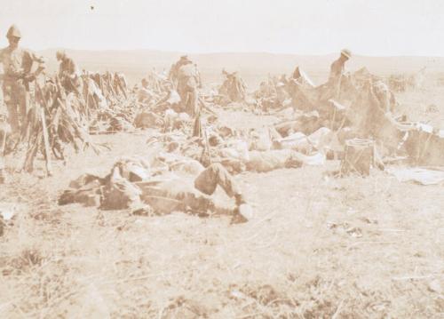 Camping Near Ramla (Photograph Album Belonging to James McBey)