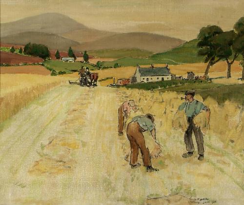 Harvest, Angus