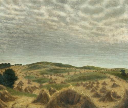 Harvest Landscape