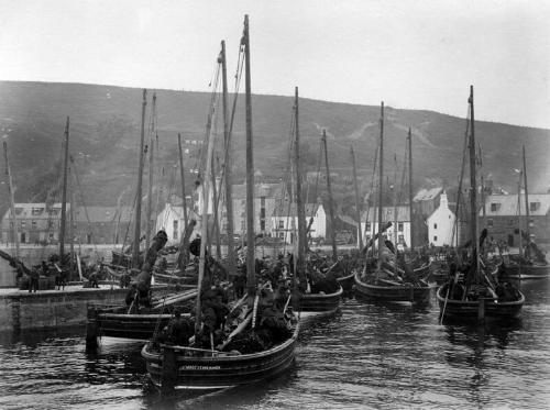 Fifies berthing at stonehaven harbour, after herring fishing trip