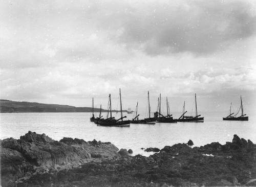 Fifies anchored off stonehaven harbour