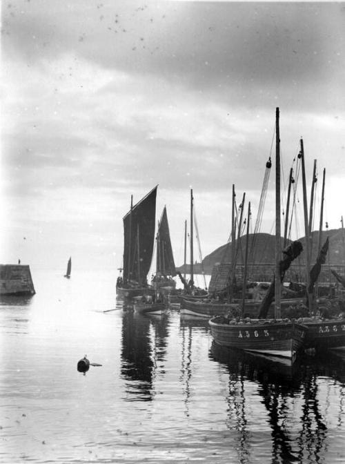 Fifies berthed in stonehaven harbour, a.363 & a.352 in foreground