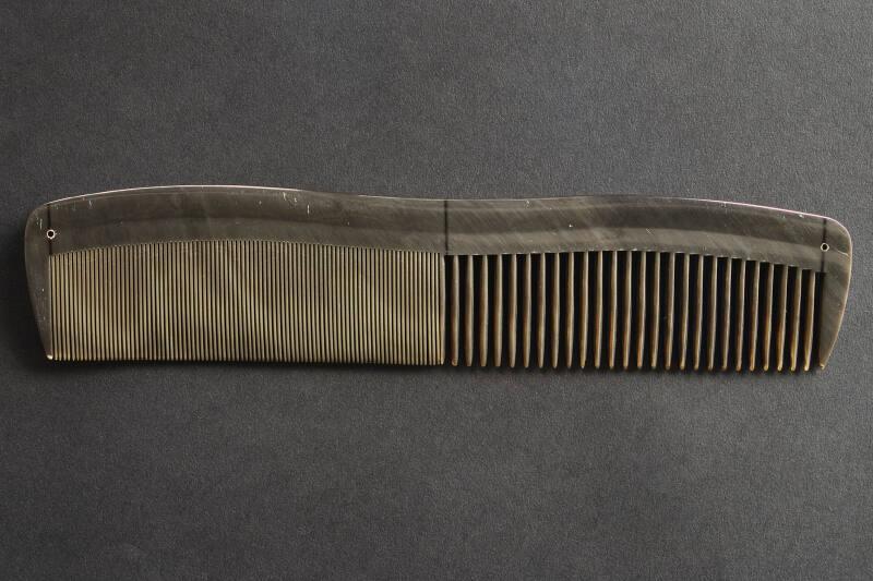 Horn Comb