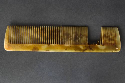 Horn Comb