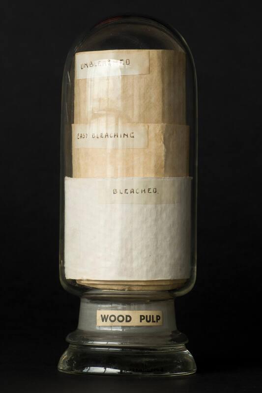 Process Sample of Bleached and Unbleached Wood Pulp