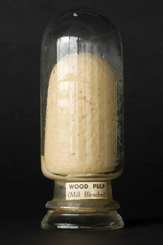 Process Sample of Mill Bleached Wood Pulp