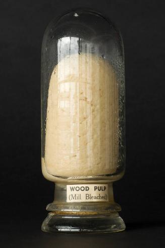 Process Sample of Mill Bleached Wood Pulp