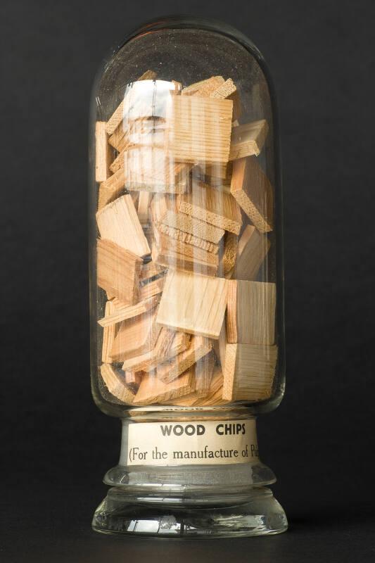 Process Sample of Wood Chips