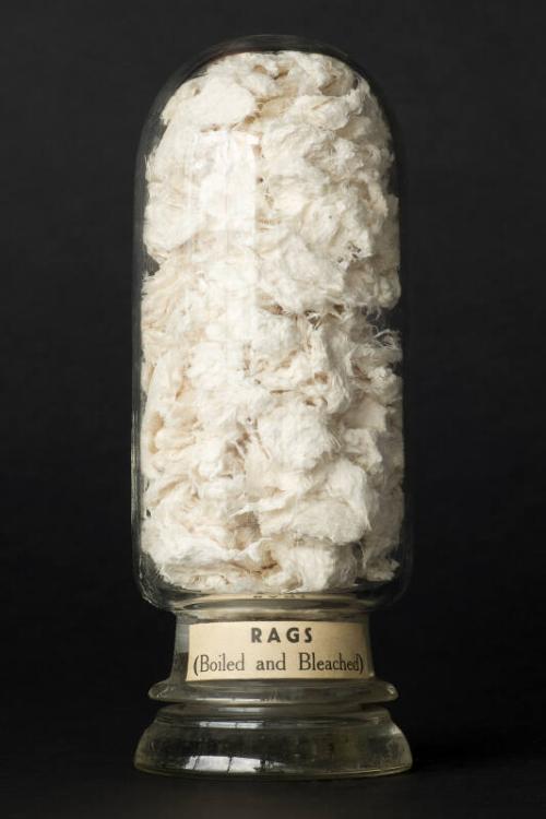 Process Sample of Boiled and Bleached Rags