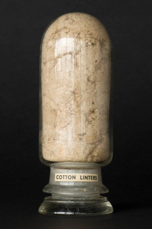 Process Sample of Cotton Linters