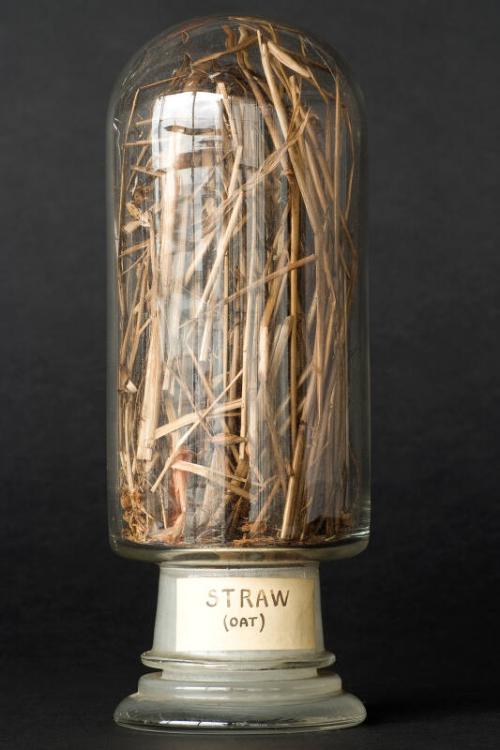 Process Sample of Straw (Oat)