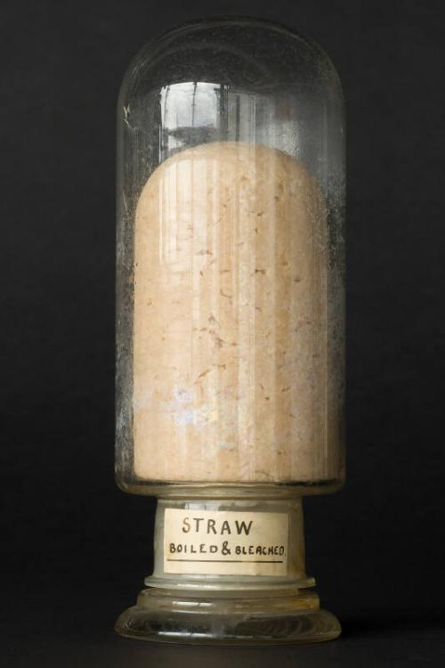 Process Sample of Boiled and Bleached Straw