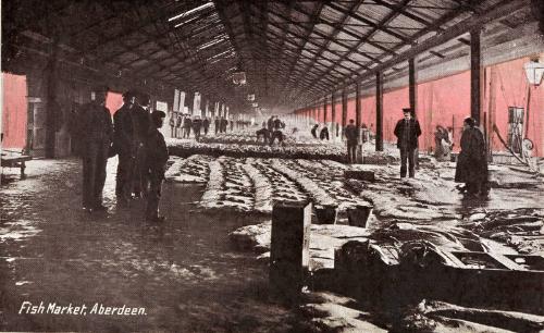 Fish Market Aberdeen colourised postcard