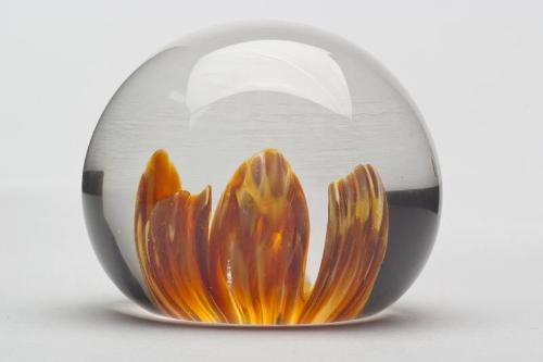 Gold Tulip Glass Paperweight